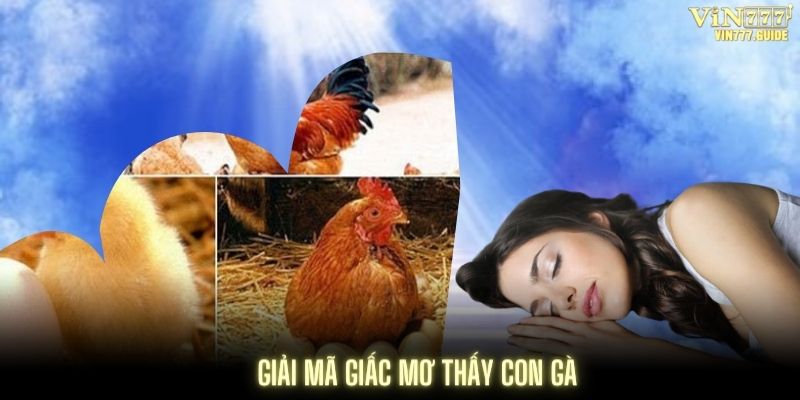 Mơ thấy gà dựa trên cơ sở khoa học